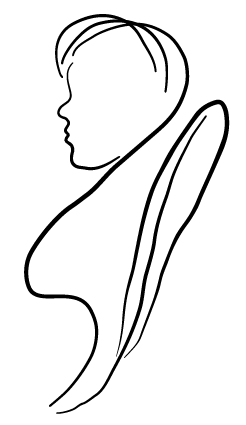 Logo kleiner Landschreiber